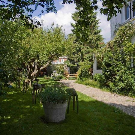 Achter Het Witte Huis Utrecht Exterior foto